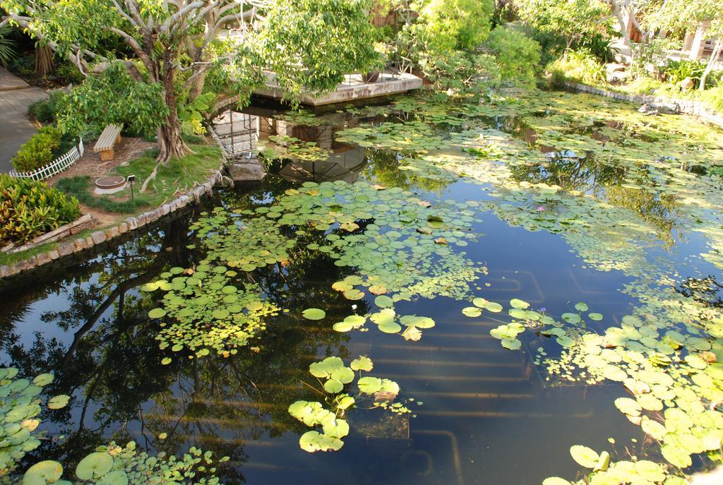 Yukurinaresort Okinawa Hills Churaumi Motobu Eksteriør billede